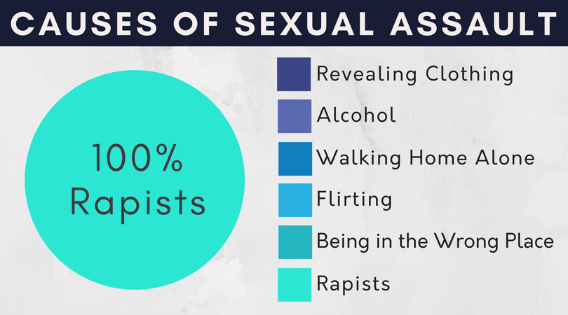 Causes of Sexual Assault poster which indicates it's simply just rapists