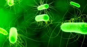 E. Coli Outbreak Food Poisoning Contamination