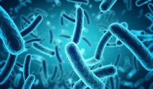 Listeria Outbreak Birmingham Cory Watson Attorneys