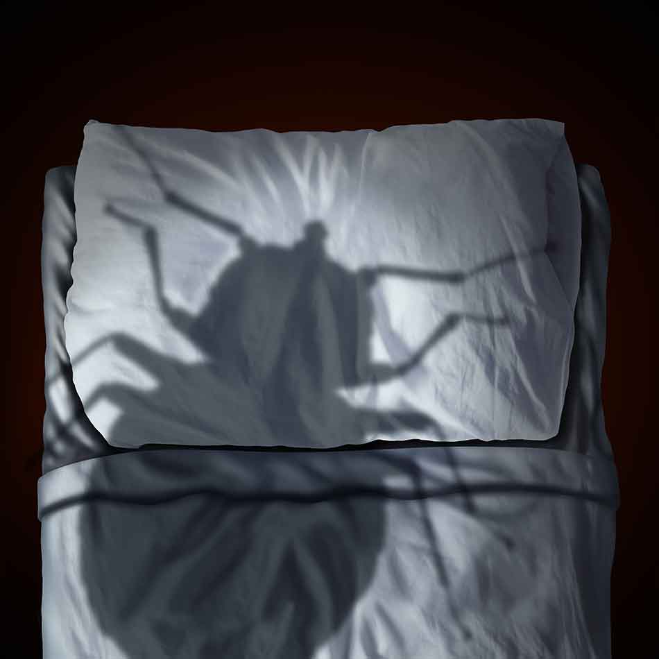 bed bugs in alabama cory watson attorneys