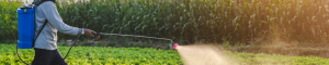 Paraquat Parkinson's Disease Lawsuit
